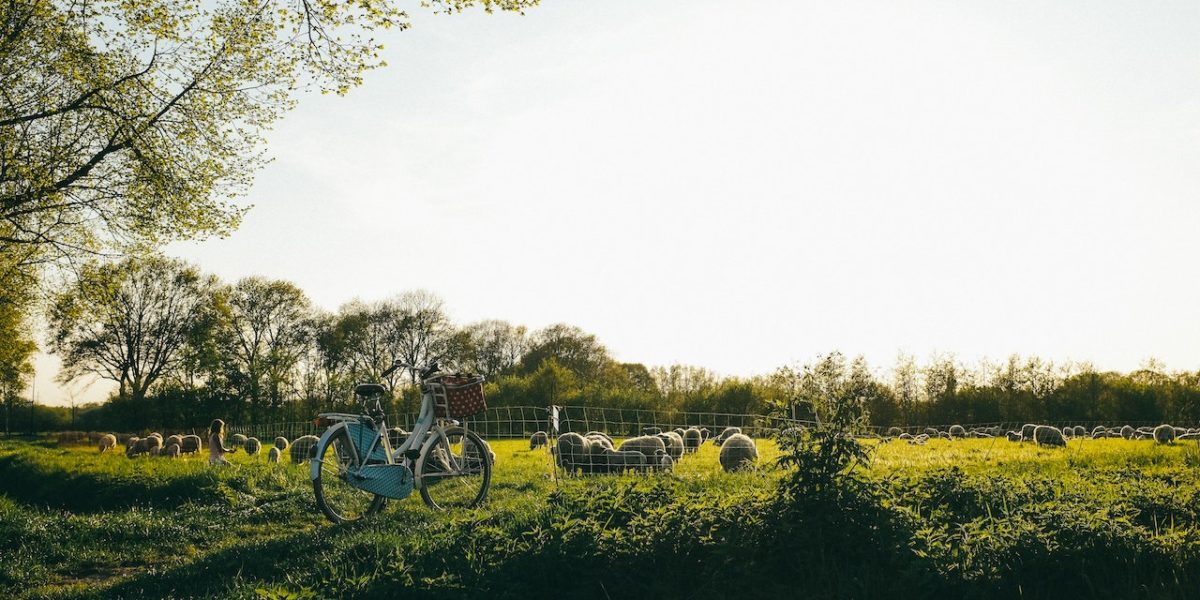 Dervla Murphy is known for biking from Ireland to India | © Kira Laktionov/Unsplash