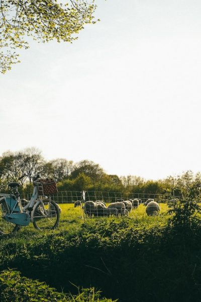 Dervla Murphy is known for biking from Ireland to India | © Kira Laktionov/Unsplash