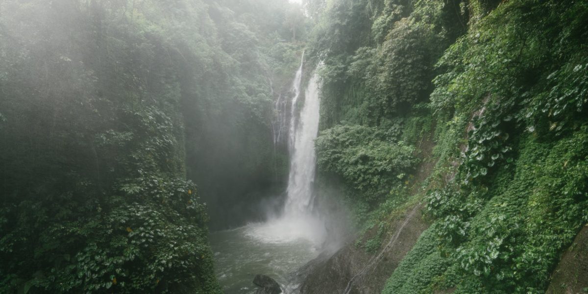 amazing waterfall with lush foliage on rocks