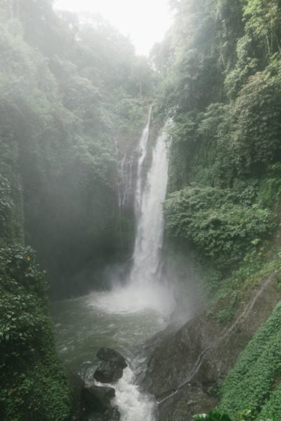 amazing waterfall with lush foliage on rocks