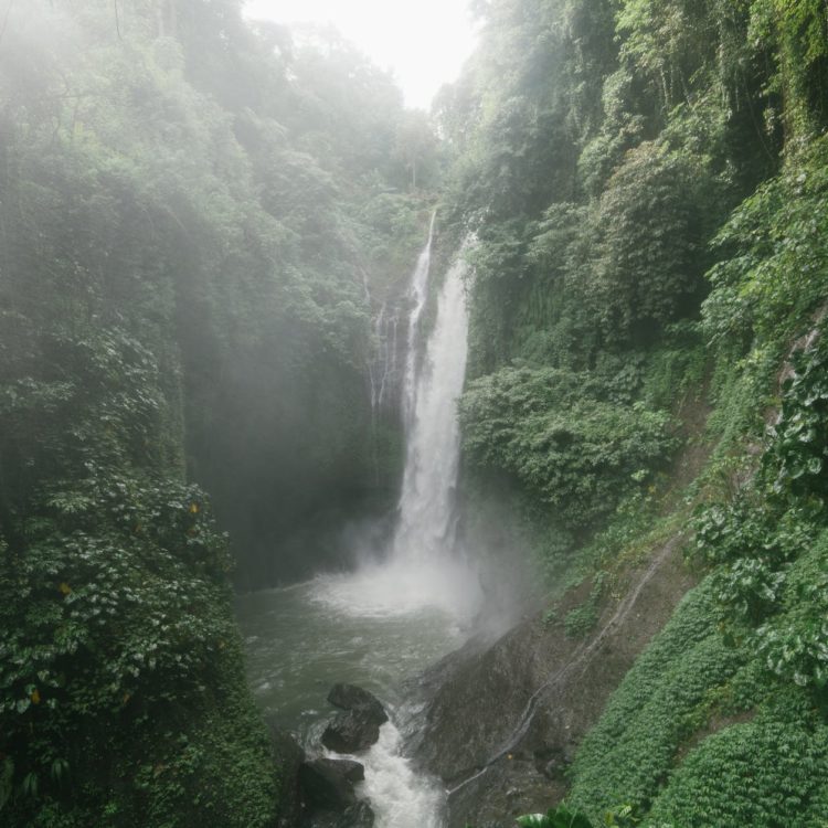 Debating Women’s Rights in the Jungles of Colombia