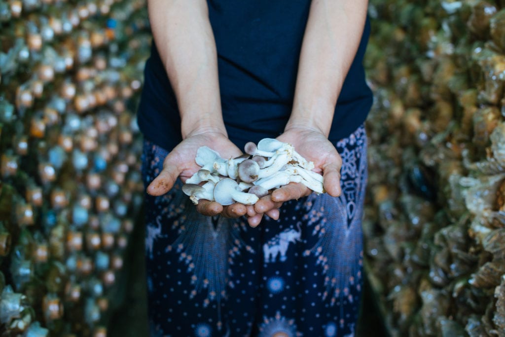 May holding mushrooms | © Neha Rathore