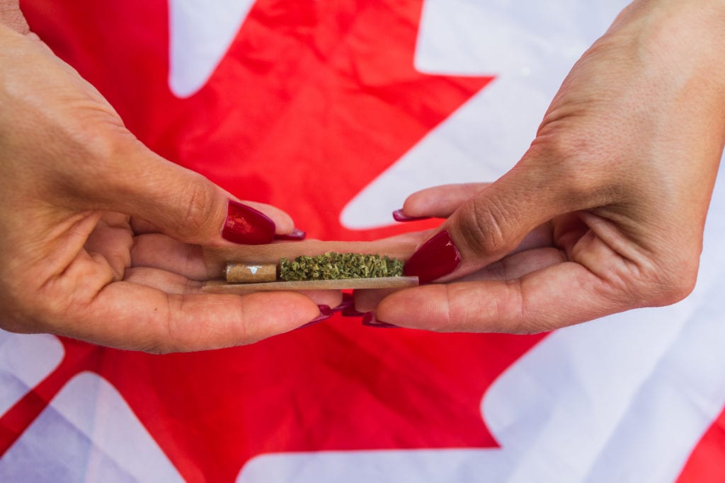 A woman rolls a marijuana cigarette © | 613rd420th/Shutterstock