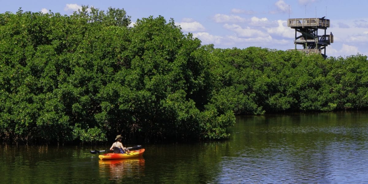 Kayaking © | pxhere