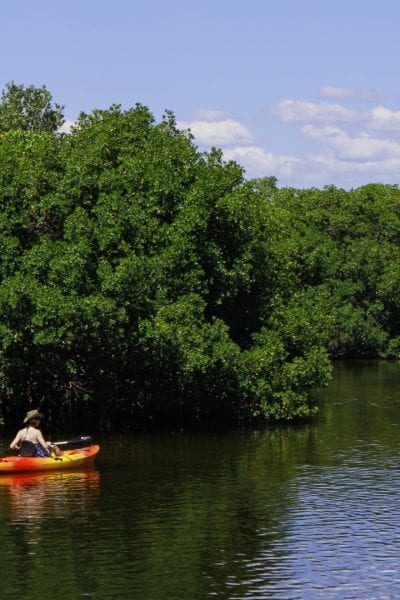 Kayaking © | pxhere