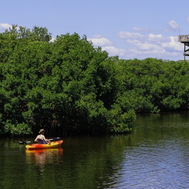 The First Woman to Kayak Down the Amazon River