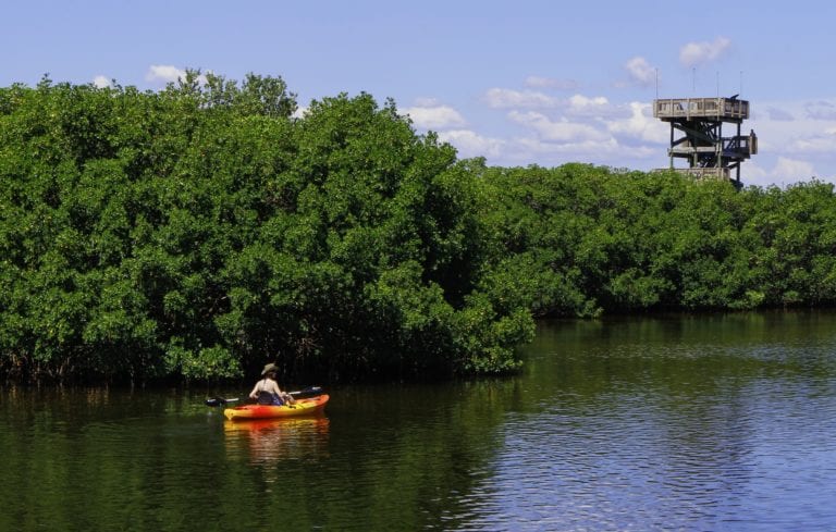 Kayaking © | pxhere