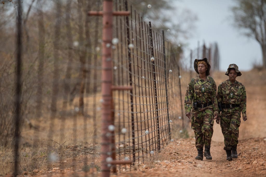 Black Mambas © | James Suter