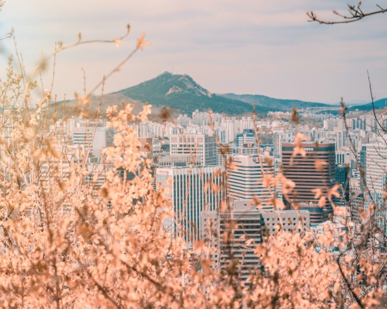 Seoul, South Korea © | Cait Ellis/Unsplash