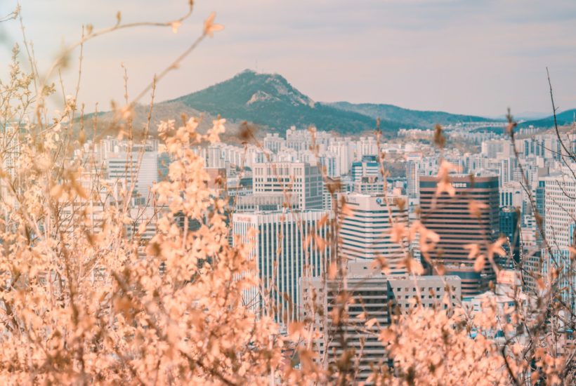 Seoul, South Korea © | Cait Ellis/Unsplash