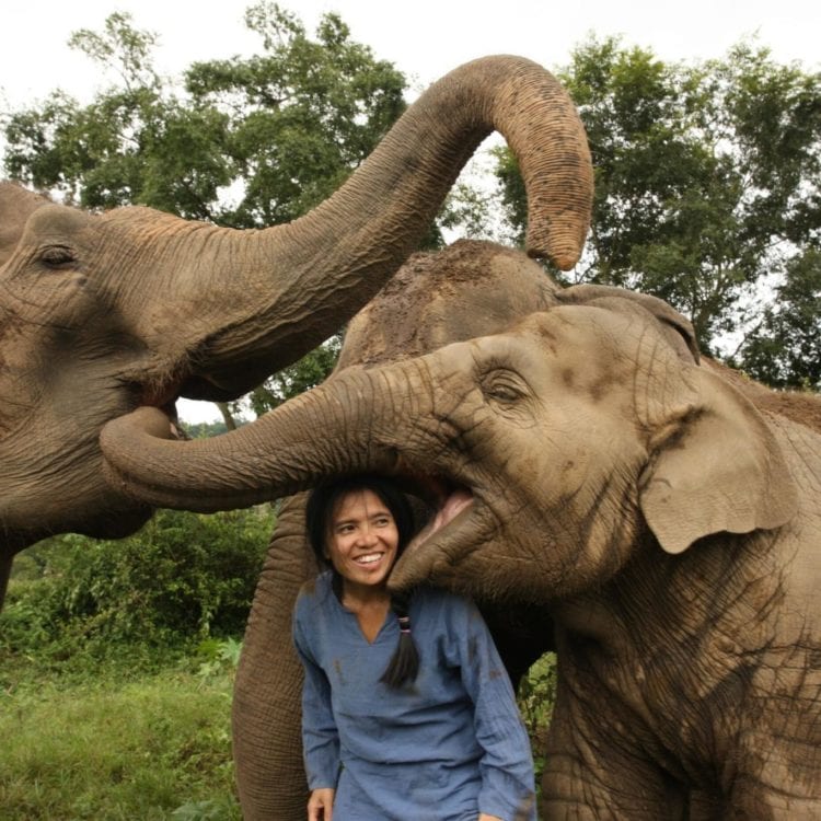 The Woman Saving Thailand’s Elephants