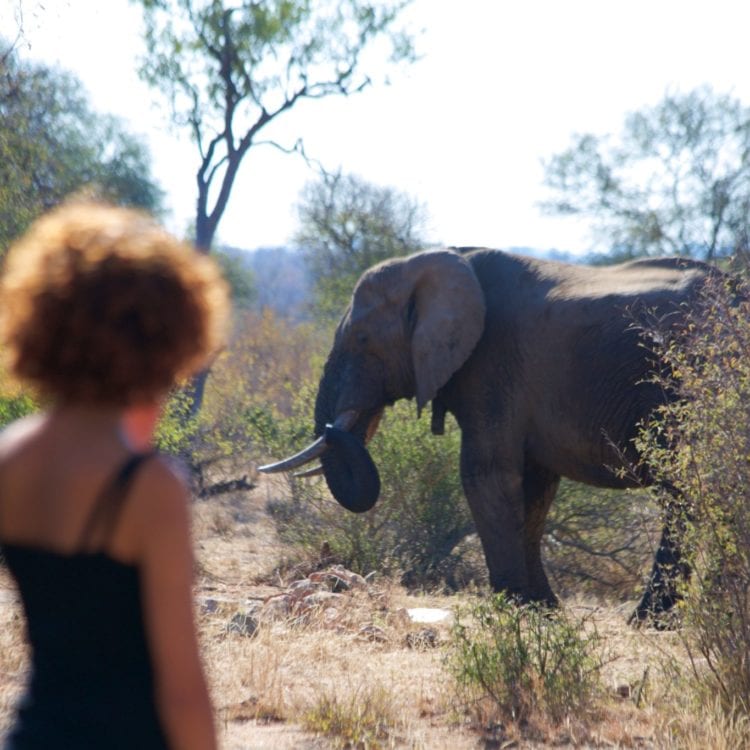 The Woman Saving Ethiopia’s Wildlife