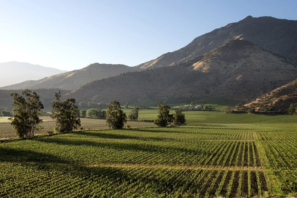 Maipo Valley, Chile | © Alan Warren