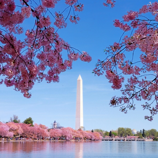 A Feminist City Guide to Washington D.C.