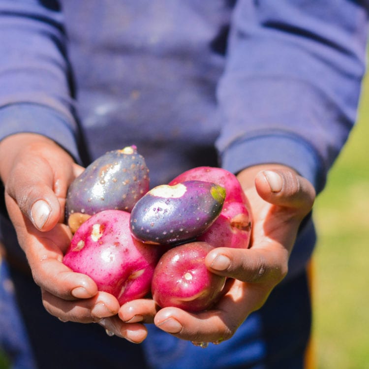 The Chef Revitalizing Native American Cuisine