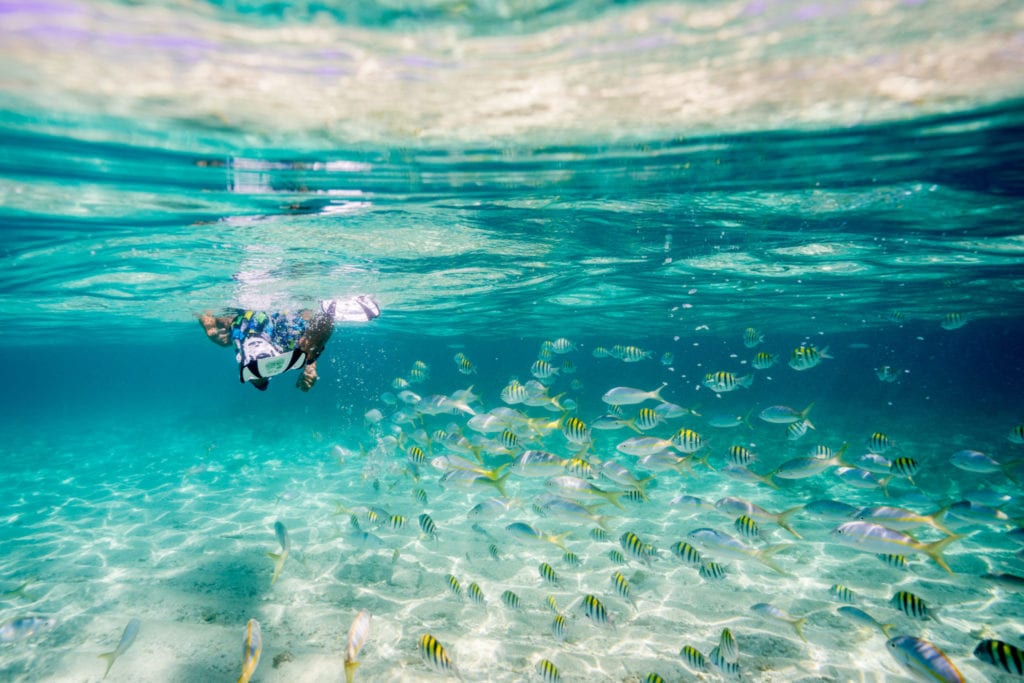 Snorkeling in the DR | © Nick Argires, The Dominican Republic Ministry of Tourism