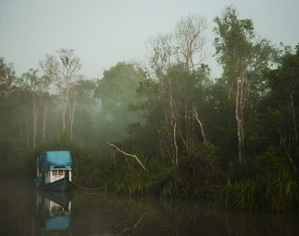 Sunrise on the Sekonyer River in Borneo | © JMcurto/Shutterstock