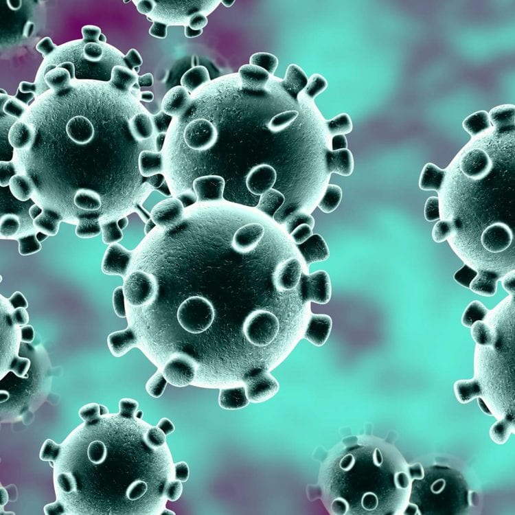 Everything You Need to Know About Coronavirus (COVID-19)