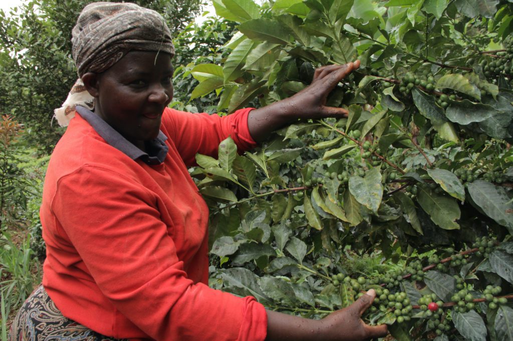 A female coffee farmer in Kenya | © James Karuga/Shutterstock