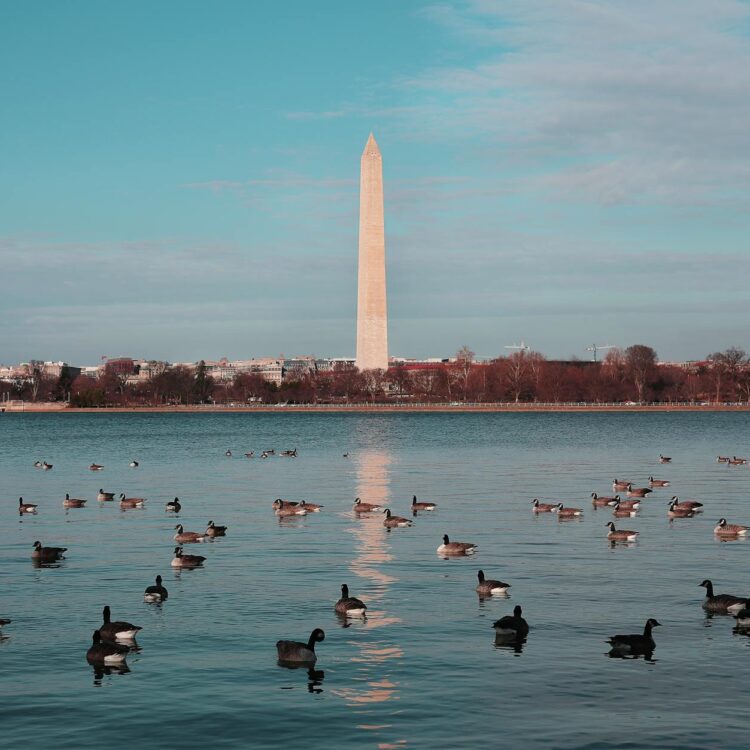 A Feminist City Guide to Washington D.C.